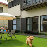 Tersedia area luas untuk dog run di taman!