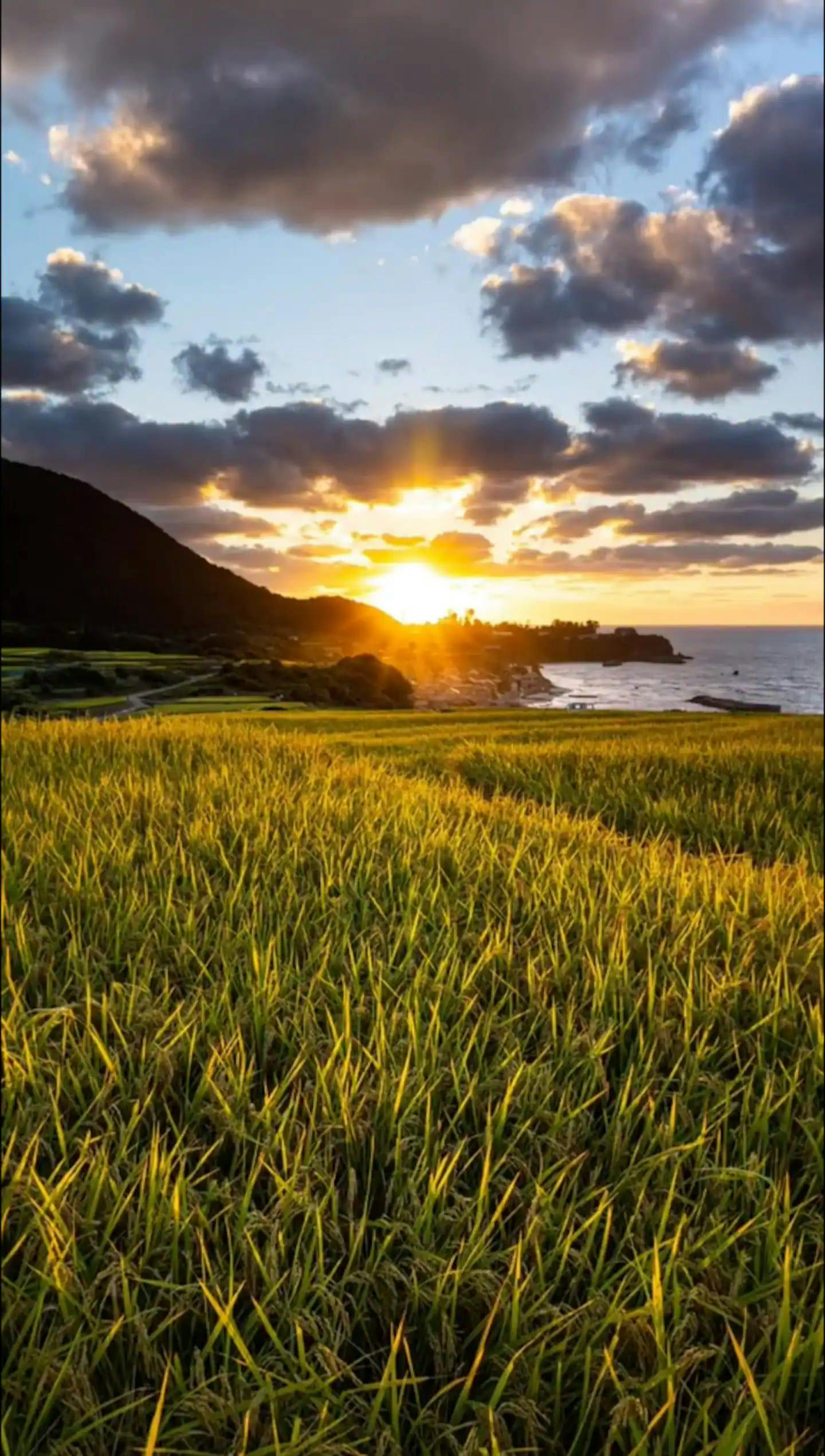 소데지 계단식 논의 원경입니다.