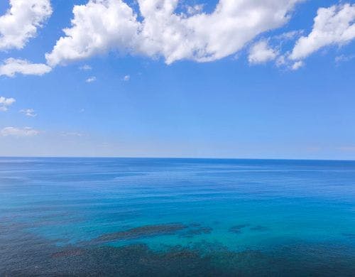 物件近くの海の景色です