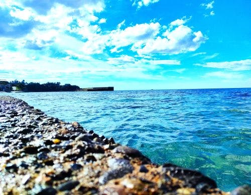 堤防の上からの景色