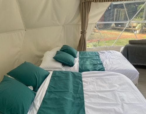 ドームテント内