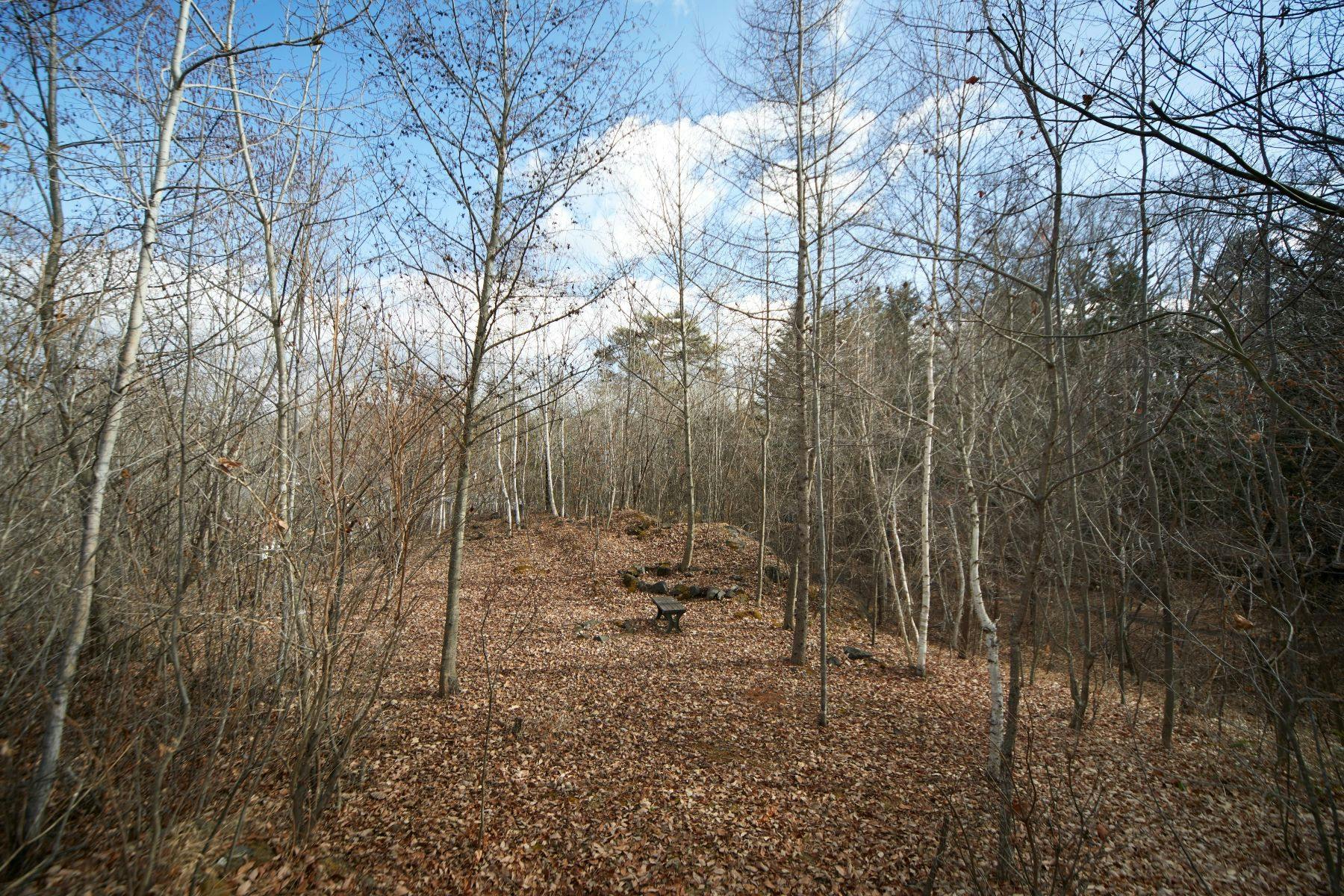 ต้นไม้ในคิตะคารุอิซาวะที่มองเห็นจากระเบียง