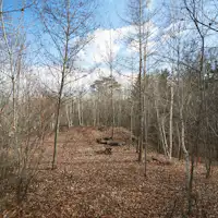 ต้นไม้ในคิตะคารุอิซาวะที่มองเห็นจากระเบียง