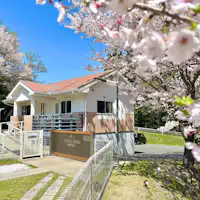 【사쿠라 테라스】