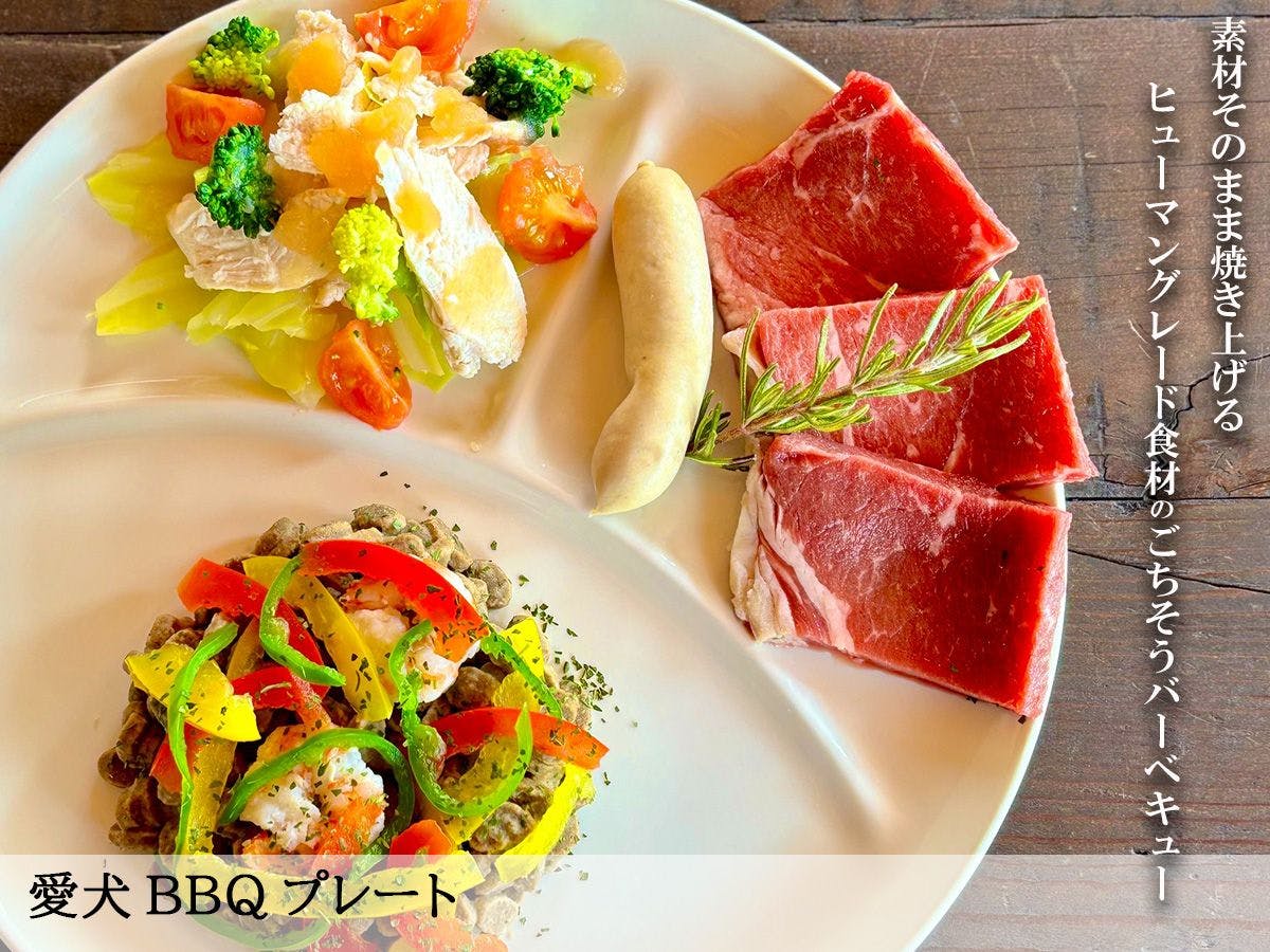 Pelat BBQ khusus anjing peliharaan Anda – gaya BBQ –