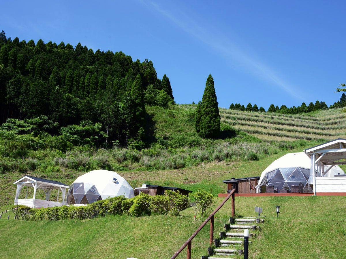 Minami Aso Blue Bee Garden