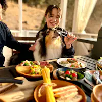 BBQ yang menggembirakan bersama anjing kesayangan anda