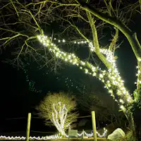 Taman Iluminasi yang Mewarnai Malam