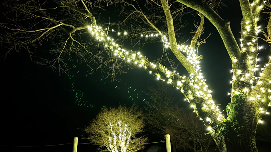 Minami Aso Blue Bee Garden
