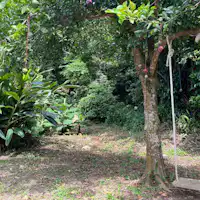 ชิงช้า