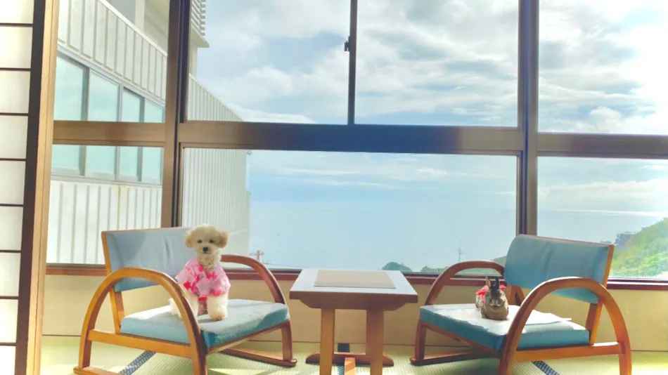 Hidemaru Hanagokoro: An Accommodation to Surrender Your Heart to Stunning Views and Savor the Bounty of the Sea