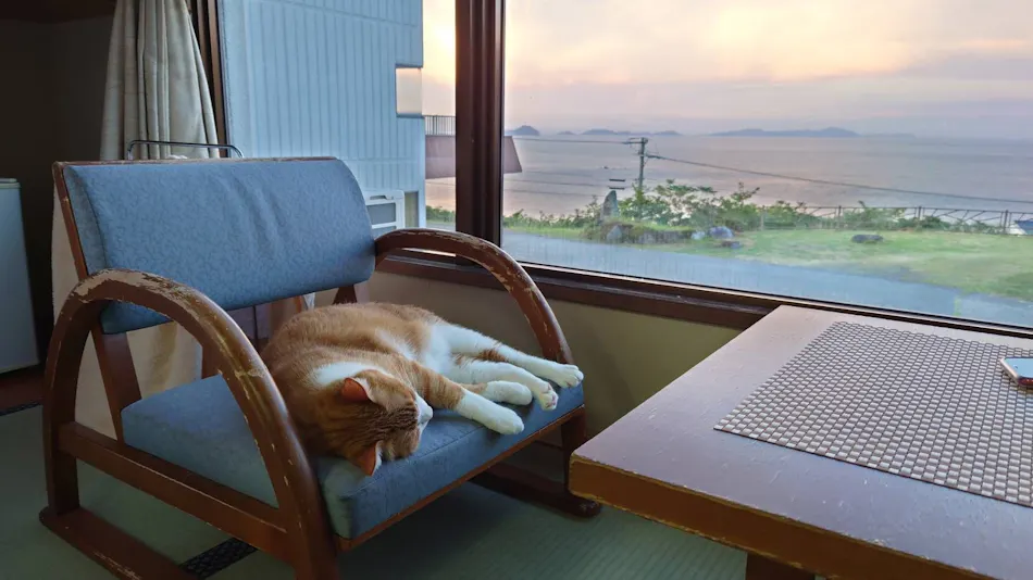 Hidemaru Hanagokoro: An Accommodation to Surrender Your Heart to Stunning Views and Savor the Bounty of the Sea