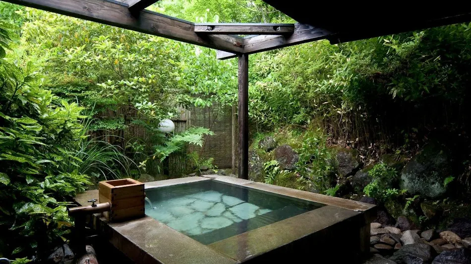 Ota Onsen Shiki no Sato Hanamura