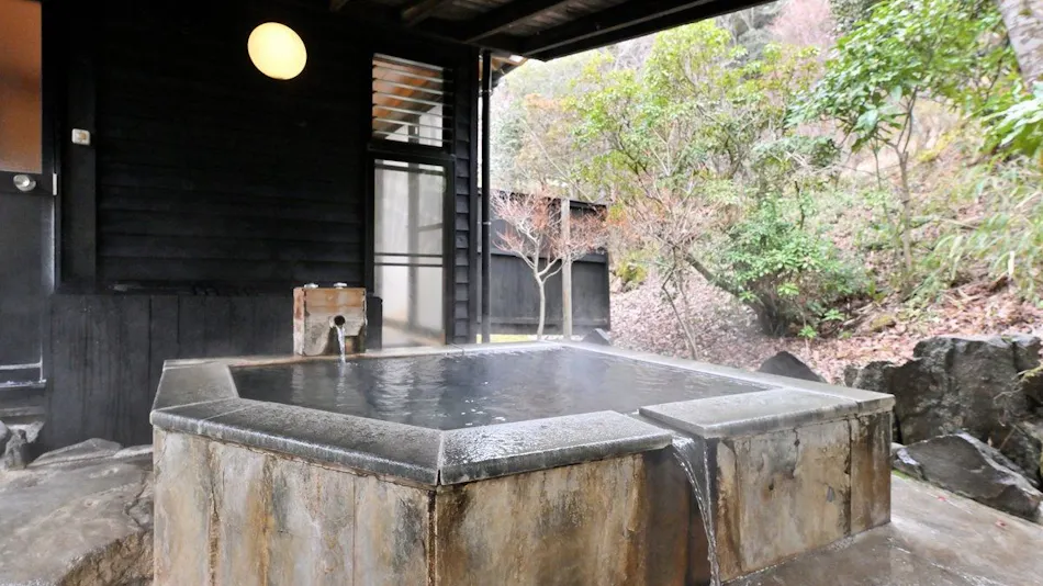 Ota Onsen Shiki no Sato Hanamura