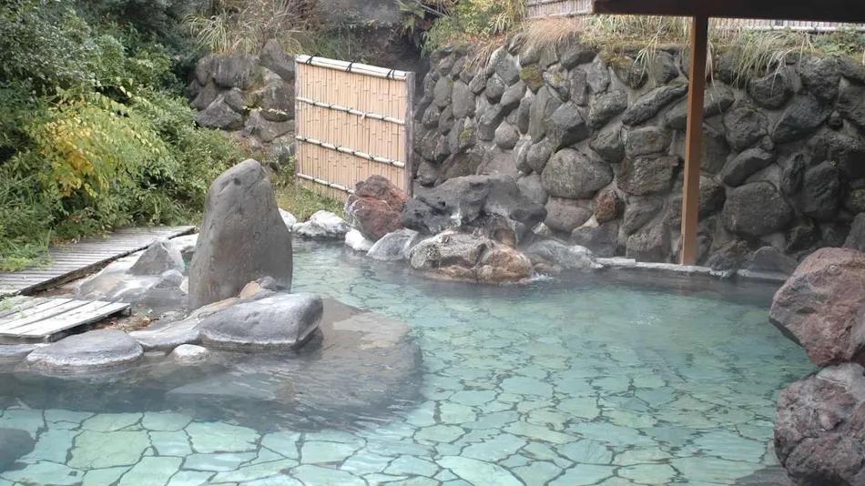Ota Onsen Shiki no Sato Hanamura