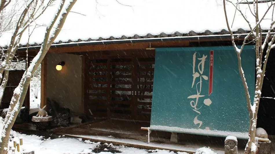 Ota Onsen Shiki no Sato Hanamura
