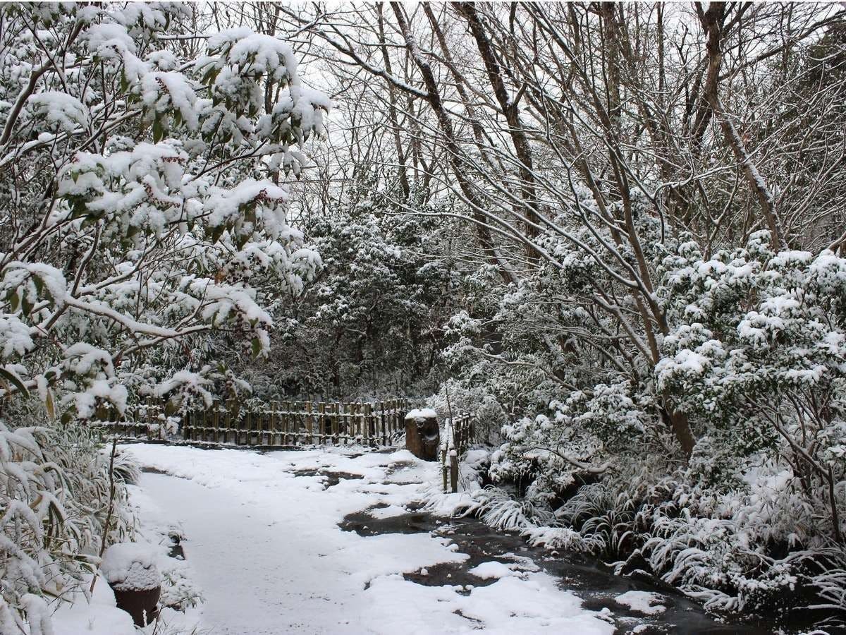 Ota Onsen Shiki no Sato Hanamura