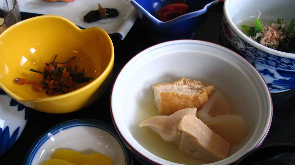 Karurusu Onsen Suzuki Ryokan