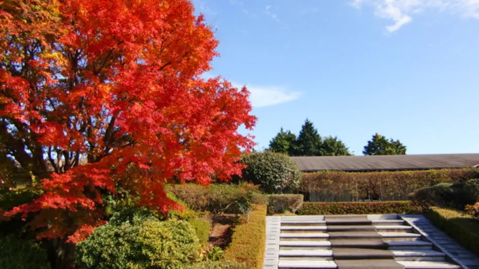 The Lodge Beppu