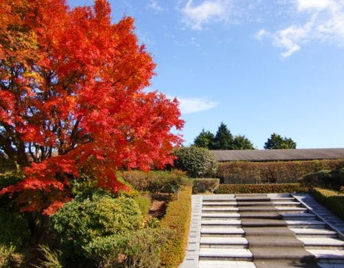 季節を感じることができます。