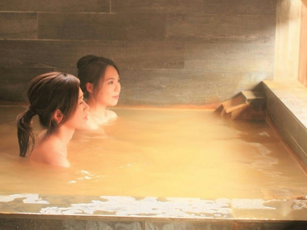Toyotomi Onsen Kawashima Ryokan