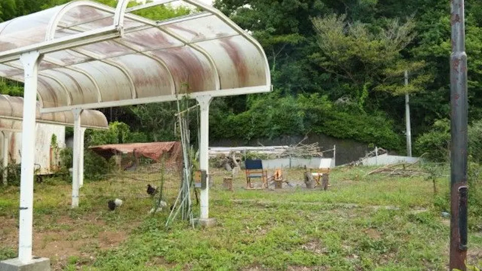 Pet-Friendly Farm Garden Hotel