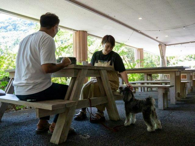 Pet-Friendly Farm Garden Hotel