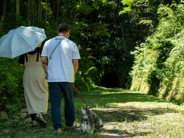 Pet-Friendly Farm Garden Hotel