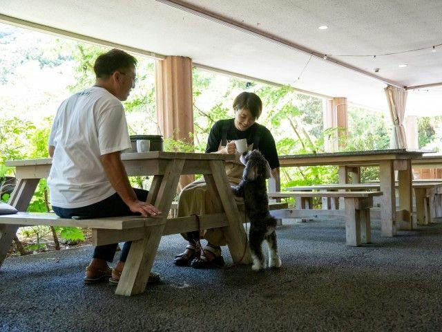 Pet-Friendly Farm Garden Hotel