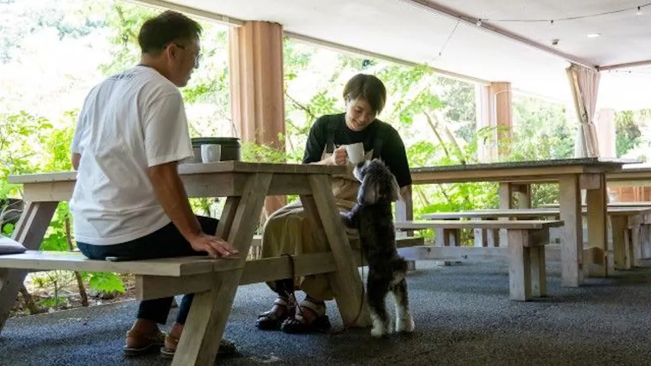 Pet-Friendly Farm Garden Hotel