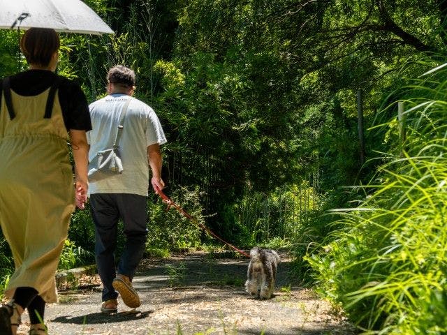Pet-Friendly Farm Garden Hotel