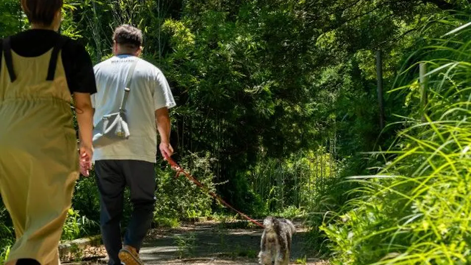 Pet-Friendly Farm Garden Hotel