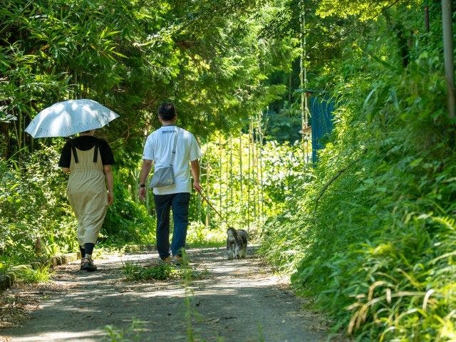 Pet-Friendly Farm Garden Hotel