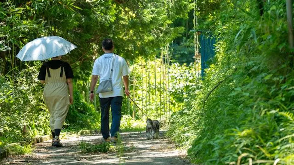 Pet-Friendly Farm Garden Hotel