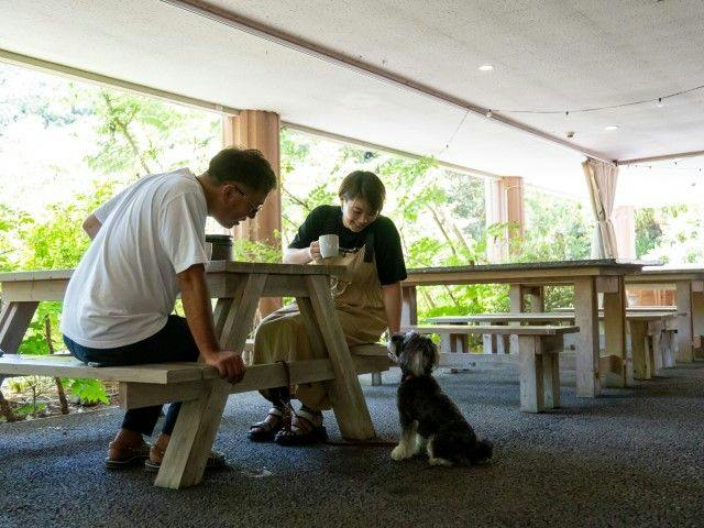 Pet-Friendly Farm Garden Hotel