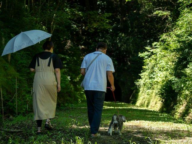 Pet-Friendly Farm Garden Hotel