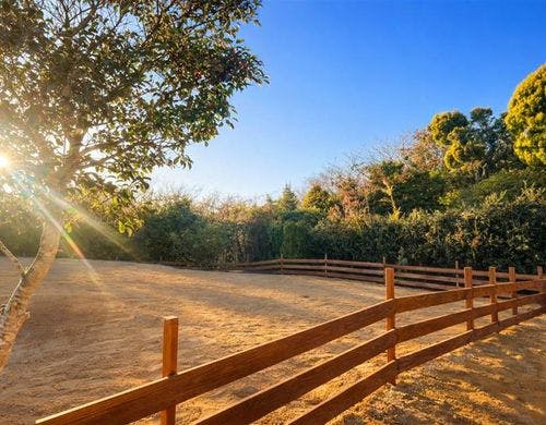 傾斜のあるドックラン