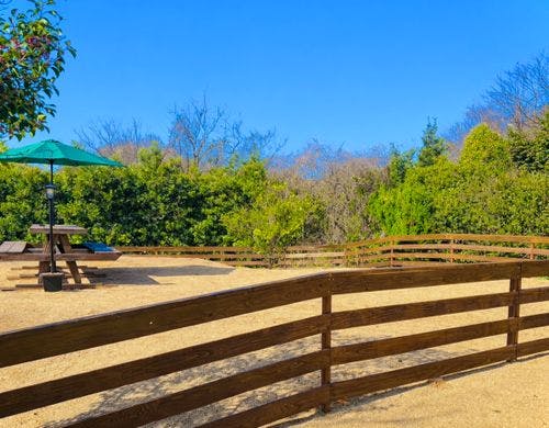 傾斜のあるドックラン