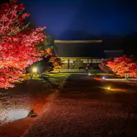 วัดโคชินจิ (ประดับไฟฤดูใบไม้ร่วง 2025)