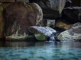 尾上の湯旅館