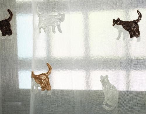 【4号棟】わんちゃんねこちゃんと日向旅