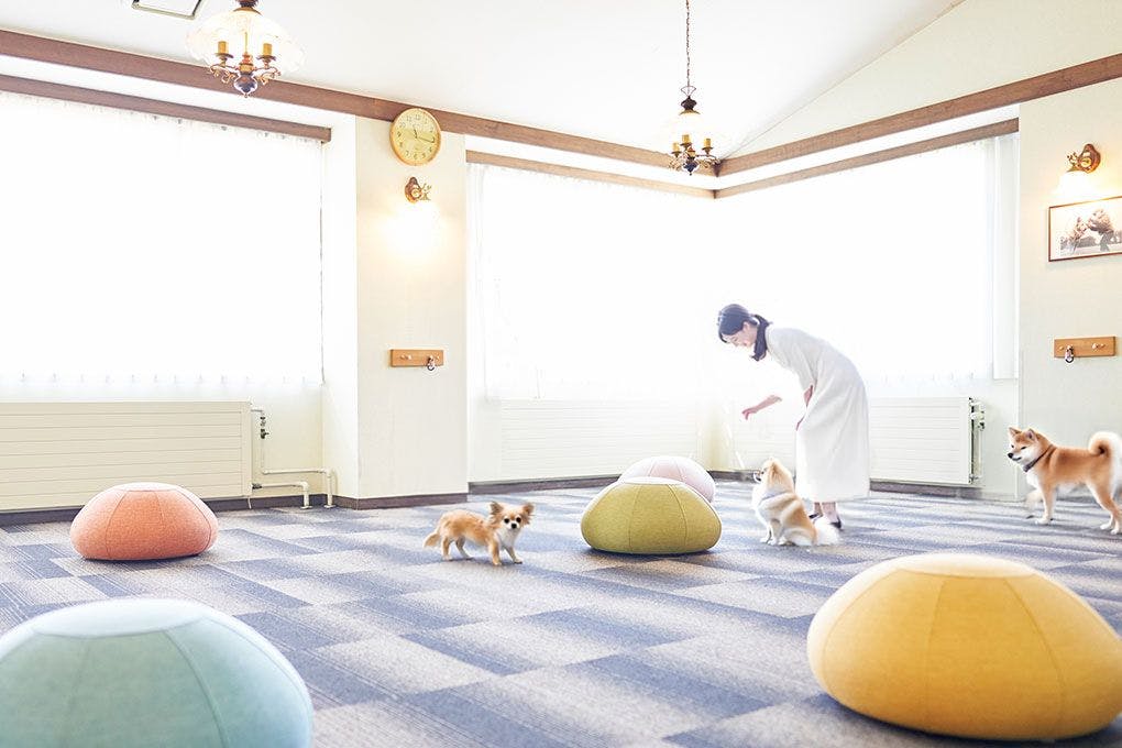 Livemax Resort Nasu-Kogen