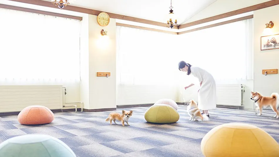 Livemax Resort Nasu-Kogen