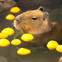 คาปิบาราแห่งอาณาจักรสัตว์นาสุ