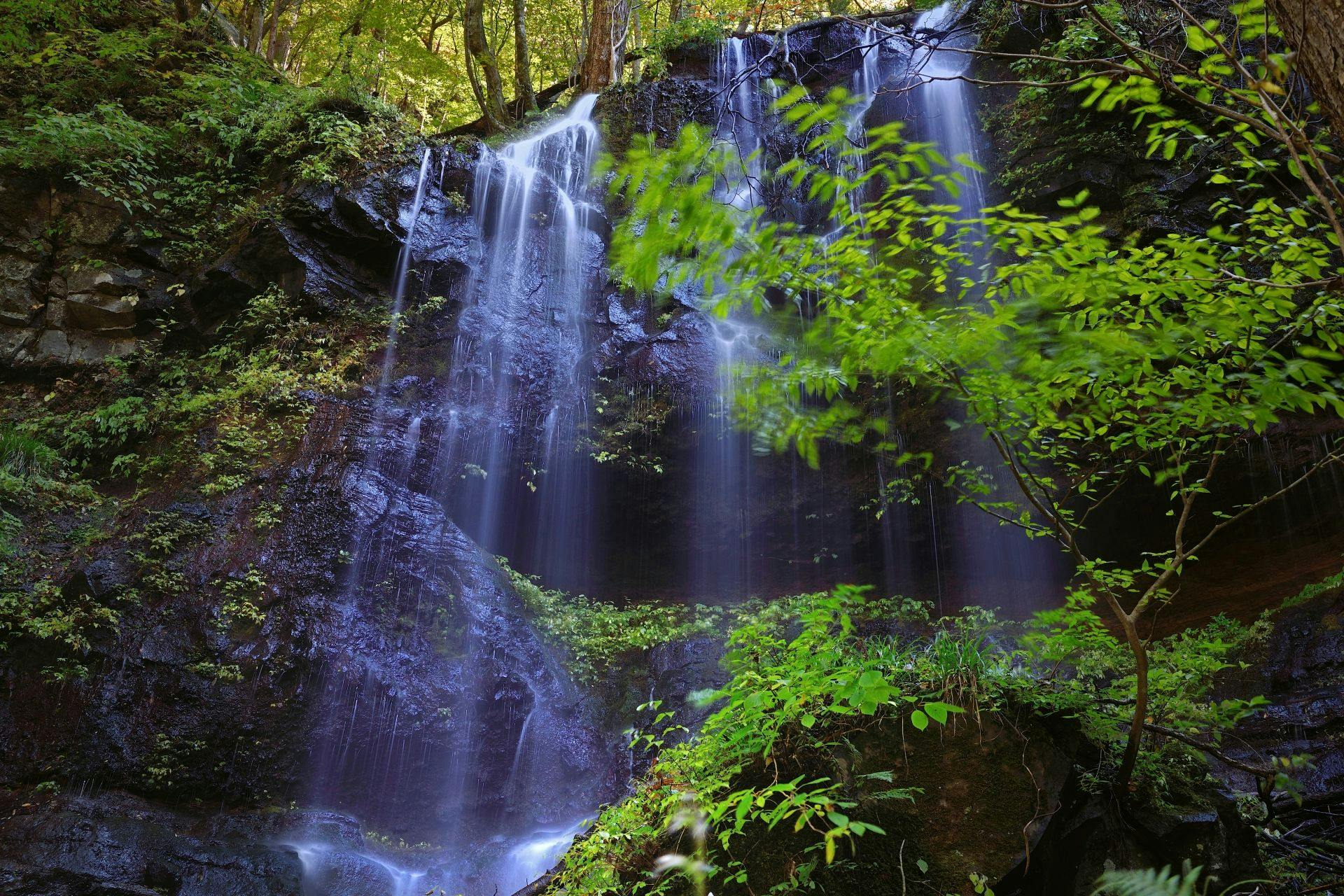 Livemax Resort Nasu-Kogen