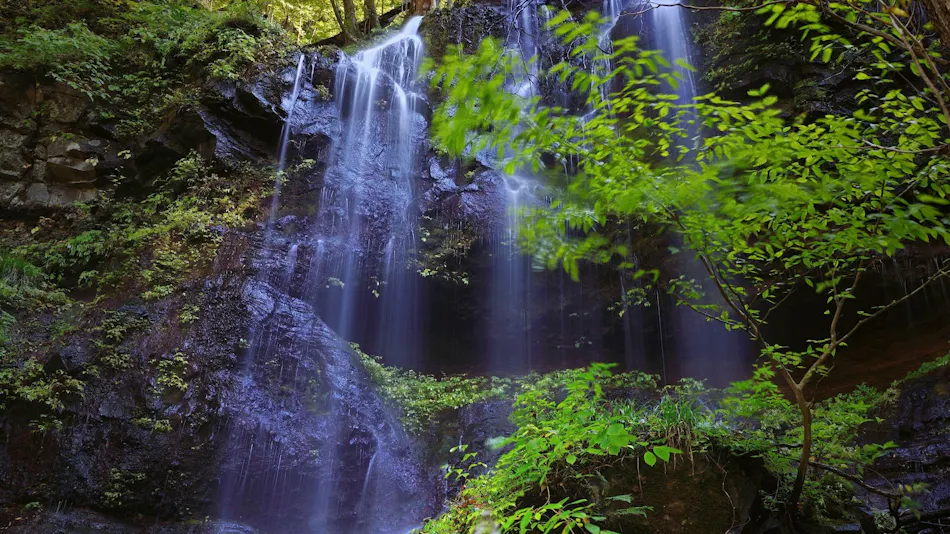 Livemax Resort Nasu-Kogen