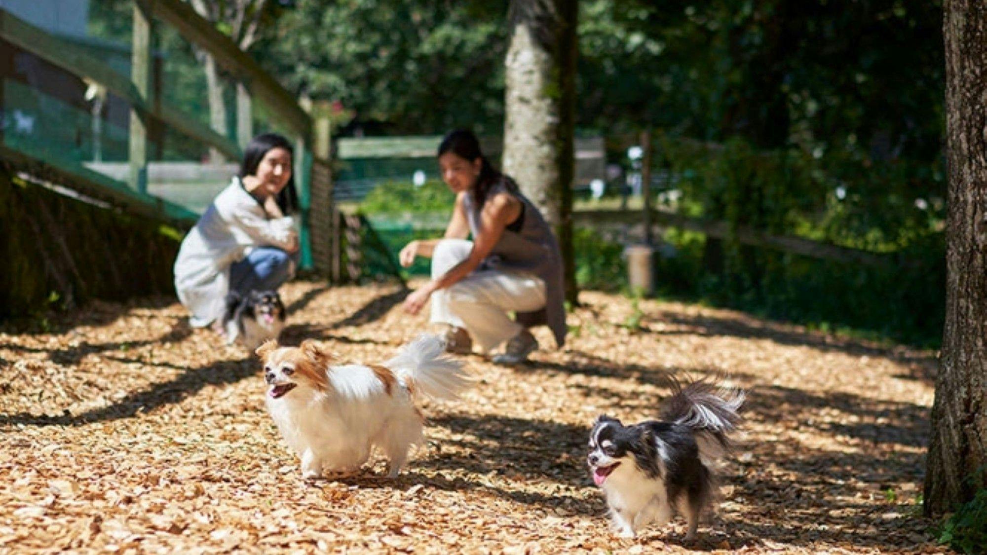 Livemax Resort Nasu-Kogen