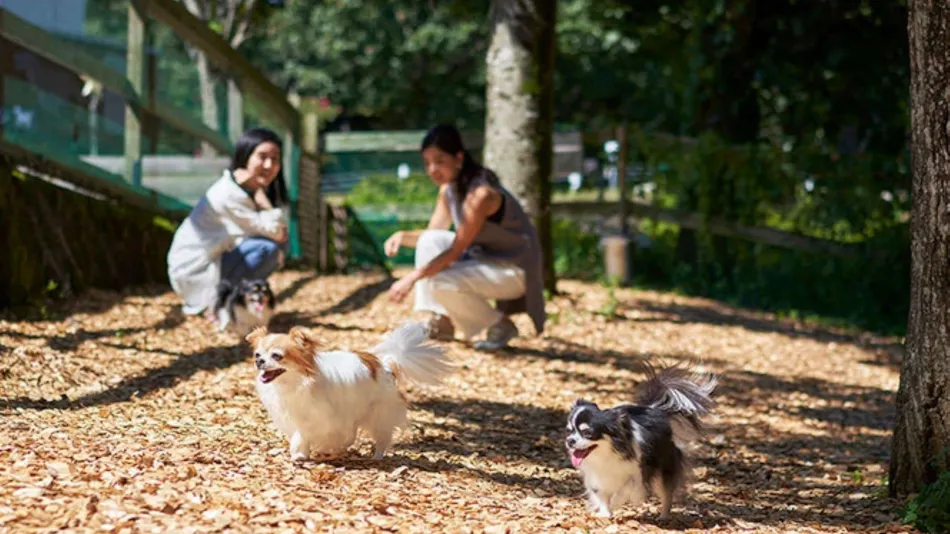 Livemax Resort Nasu-Kogen