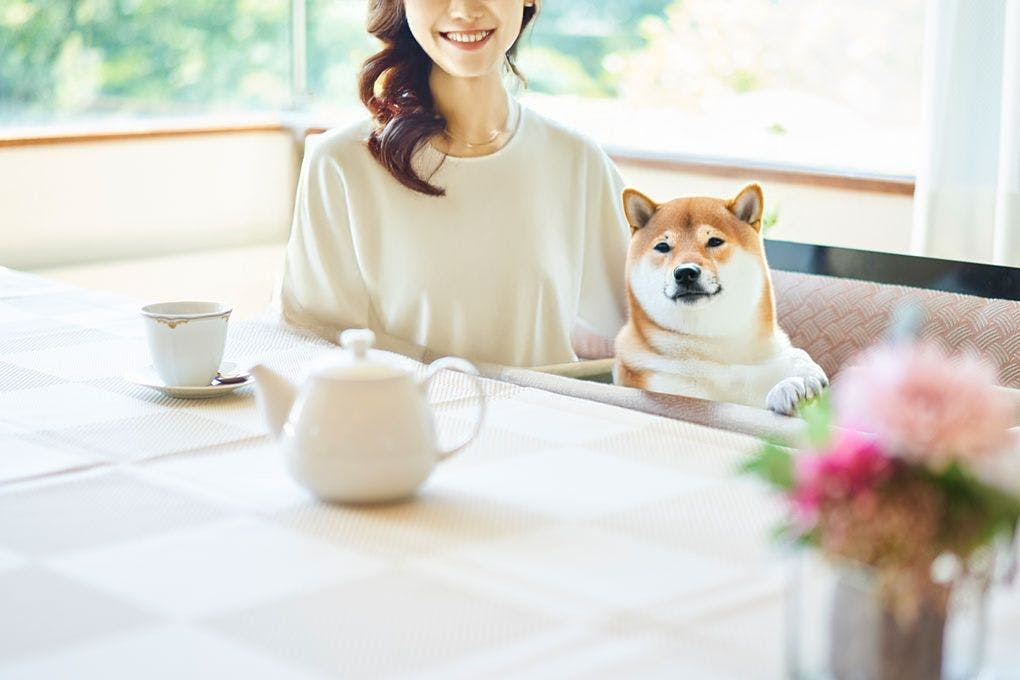 Livemax Resort Nasu-Kogen