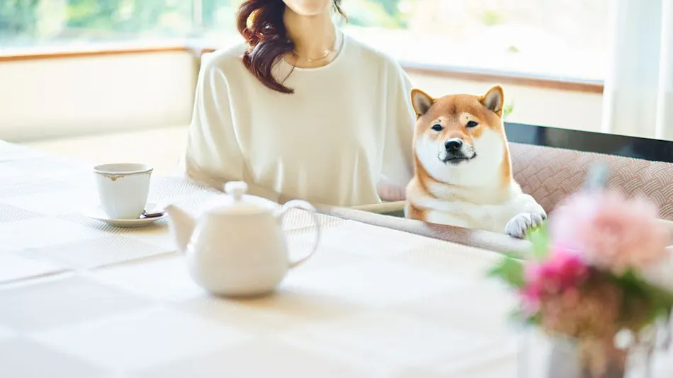 Livemax Resort Nasu-Kogen